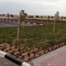 Irrigation companies in qatar