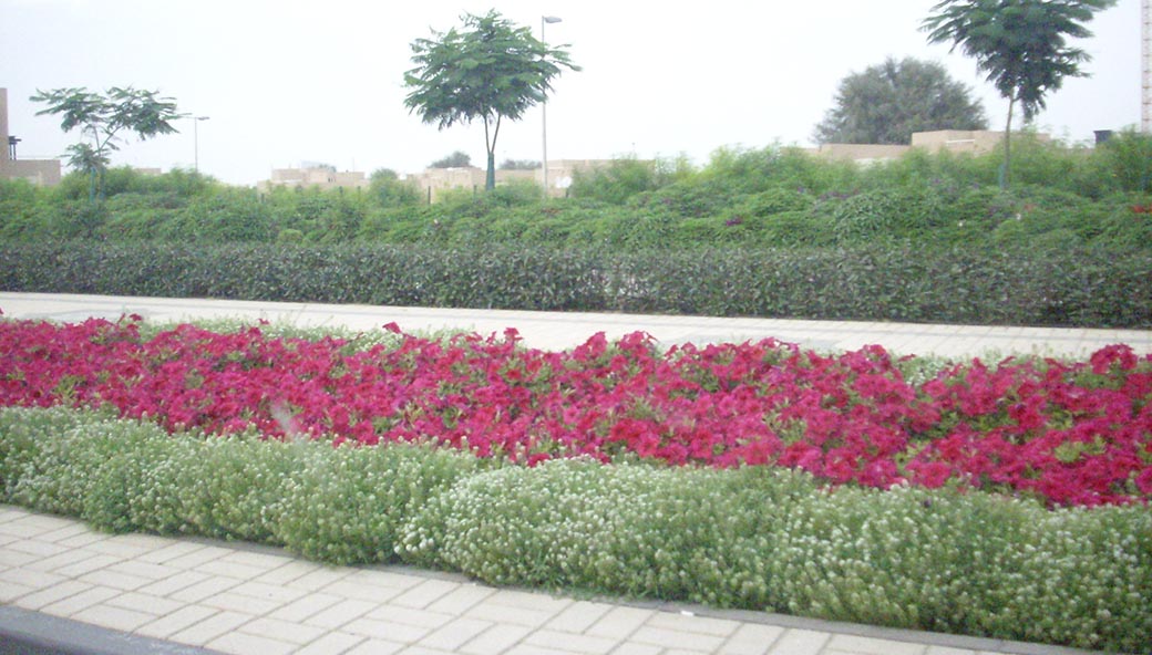 gardening maintenance qatar
